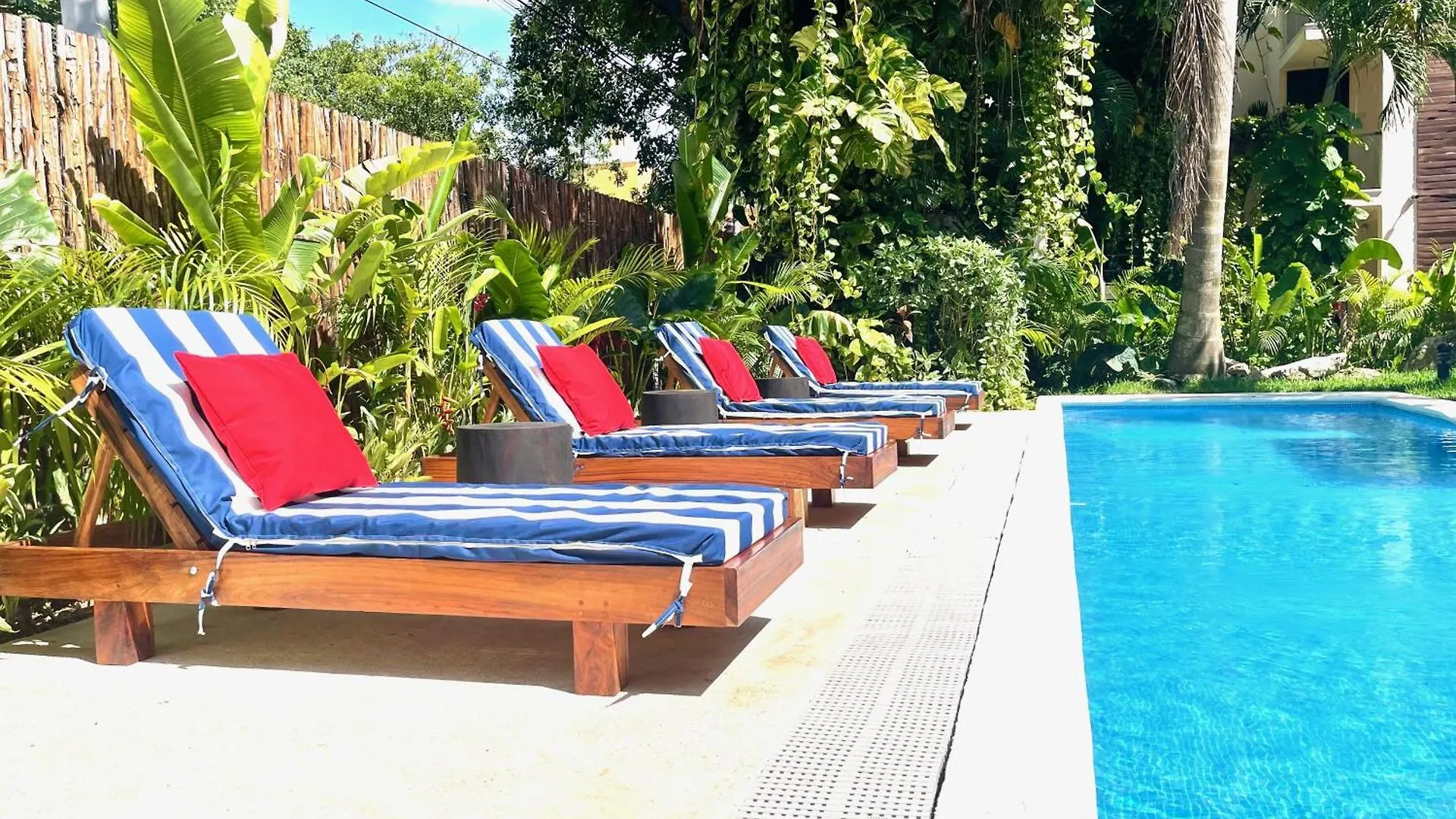 Tenda Comfortable Apartments Playa del Carmen